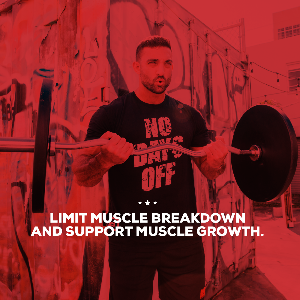 MOAB - MUSCLE BUILDER