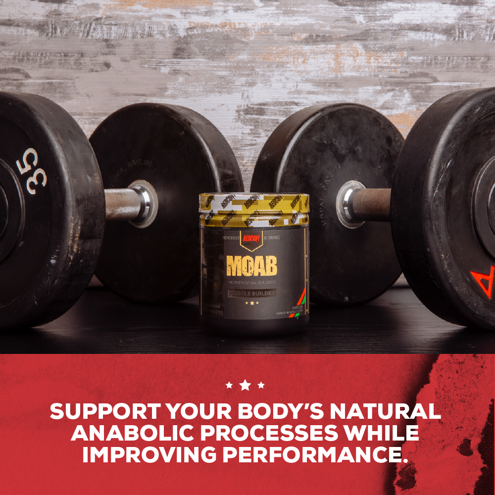 MOAB - MUSCLE BUILDER