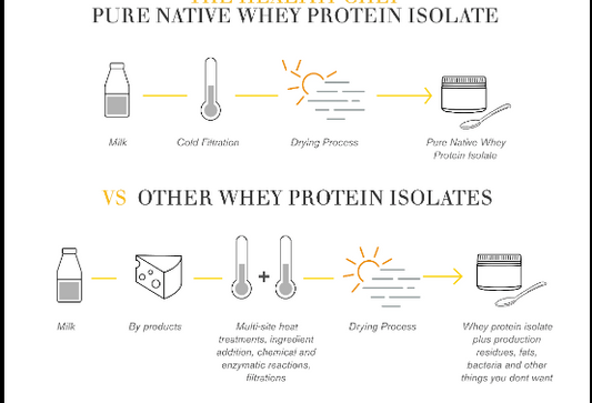 冷凍過慮蛋白粉: 係咩黎 & 點解係最好？