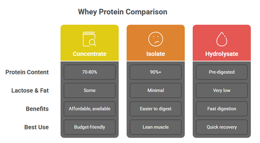 乳清蛋白 Isolate vs Concentrate vs Hydrolysate